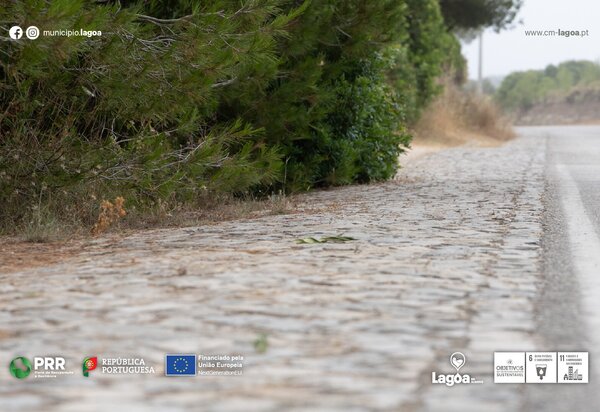 ni_ca_carv_aca_noticia