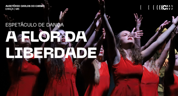 ed_afl_tumbnail_800x430px