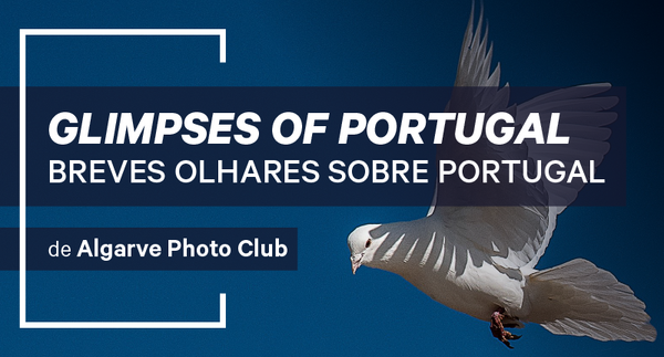 ef_gp_nosp_tumbnail_800x430px