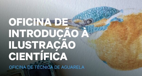 o_tag_site_destaque_800x430px