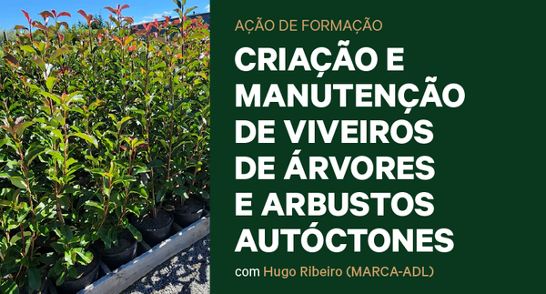 cmvaaa_tumbnail_800x430px