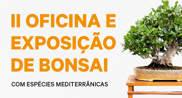 obem_tumbnail_800x430px