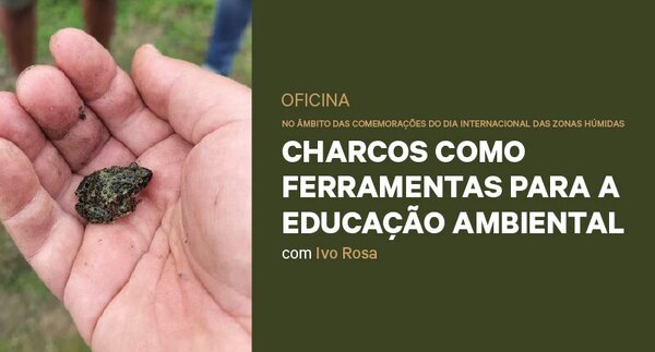 wdi_tumbnail_800x430px