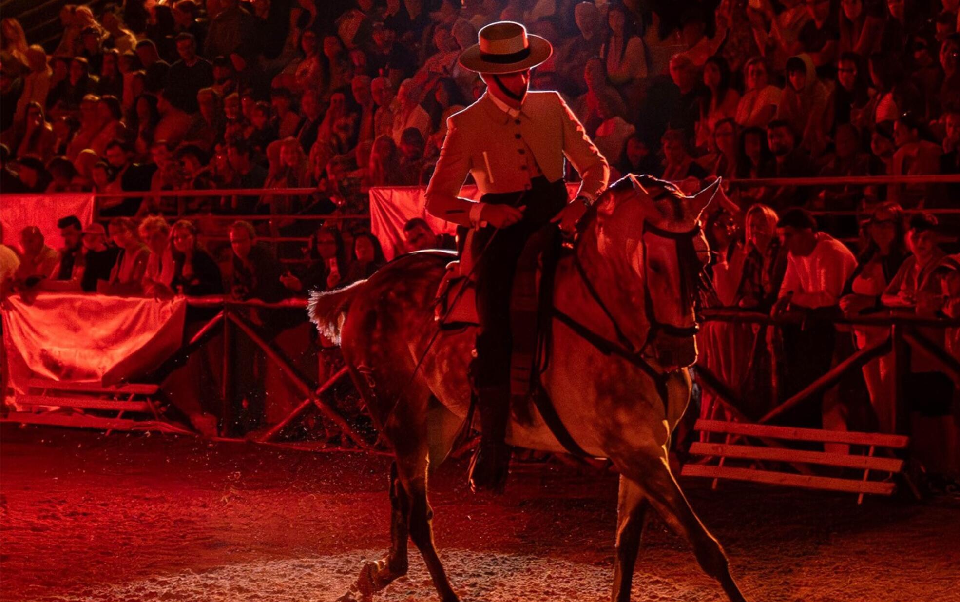 Espetáculos Equestres na FATACIL