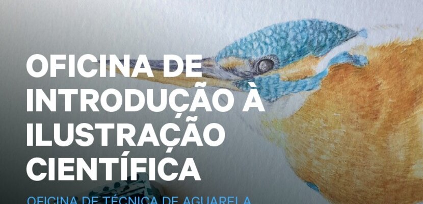 o_tag_site_destaque_800x430px