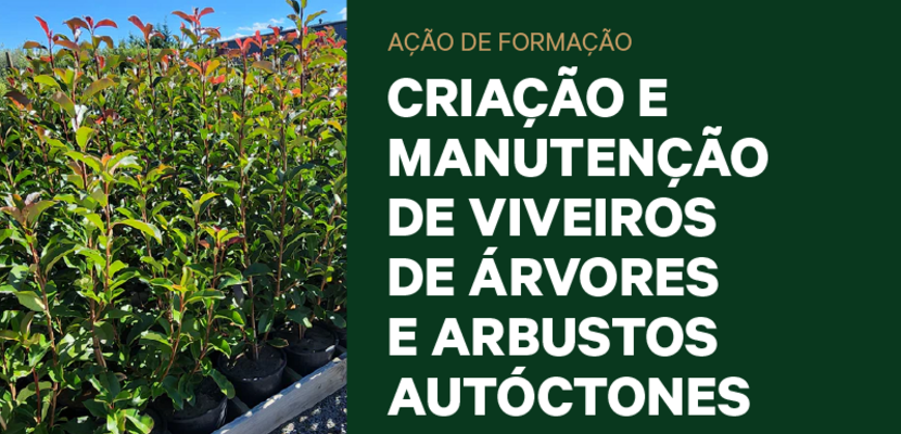 cmvaaa_tumbnail_800x430px