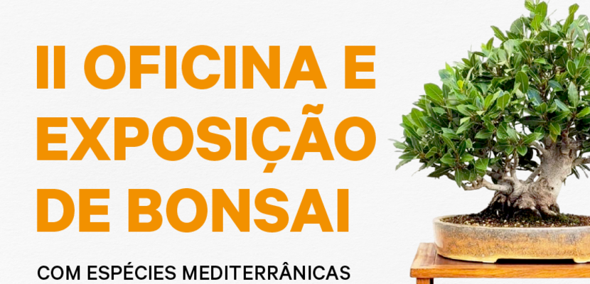 obem_tumbnail_800x430px