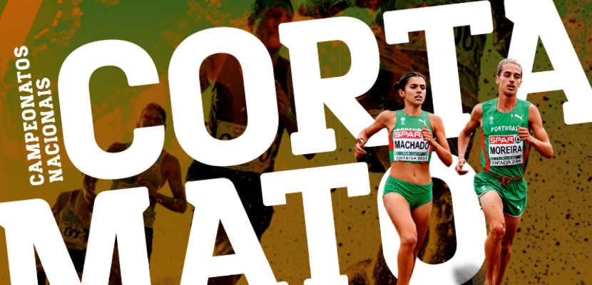 cncm_tumbnail_800x430px