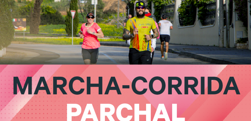 mc_p_tumbnail_800x430px