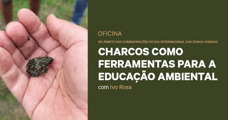 wdi_tumbnail_800x430px