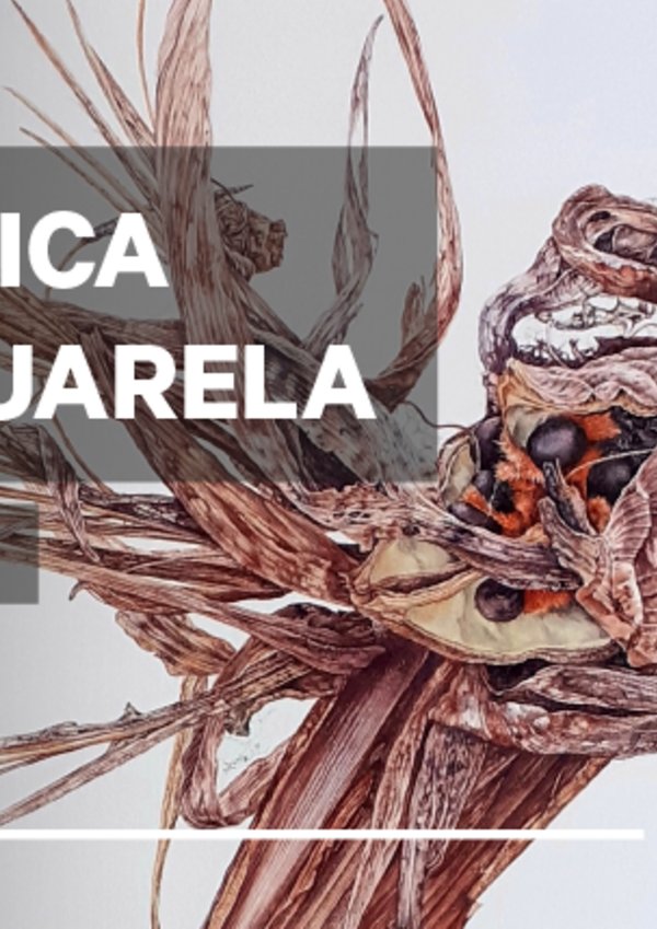 banner_site_eba_destaque