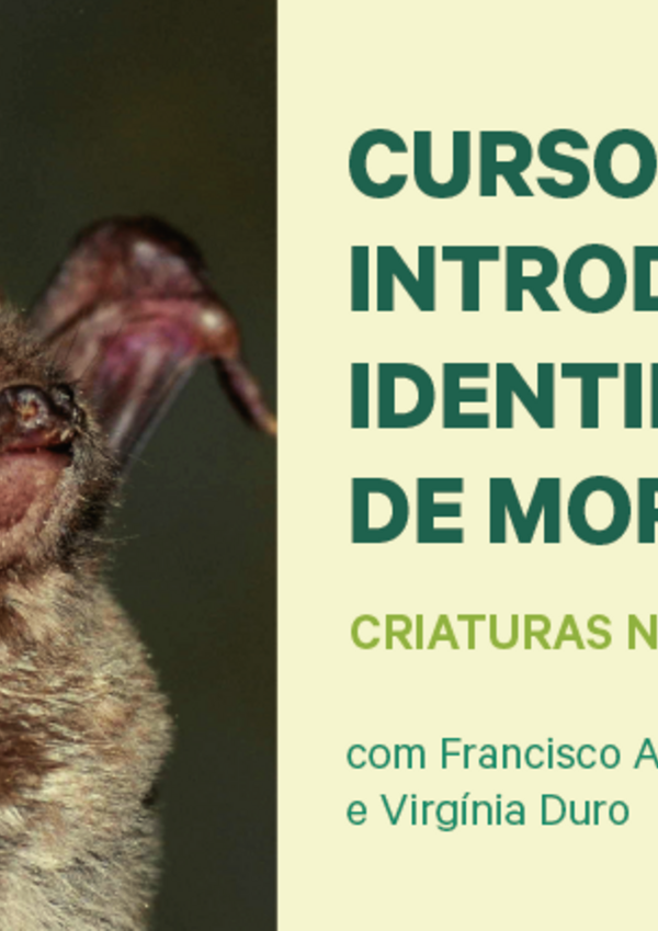 banner_site_cn_destaque