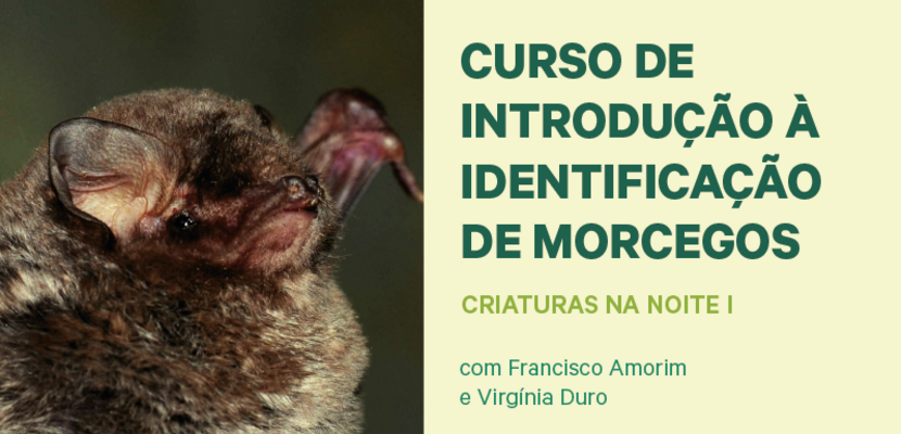 banner_site_cn_destaque