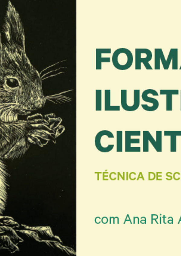 banner_site_fil_ts_destaque