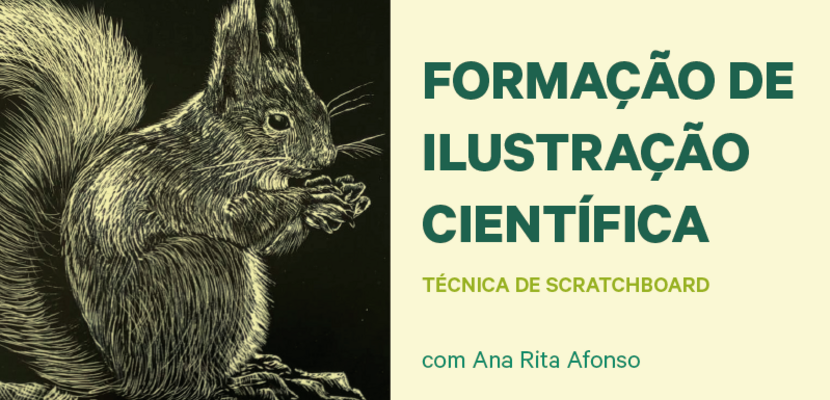 banner_site_fil_ts_destaque