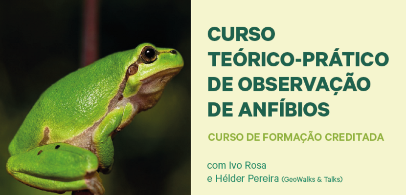 banner_site_ob_destaque