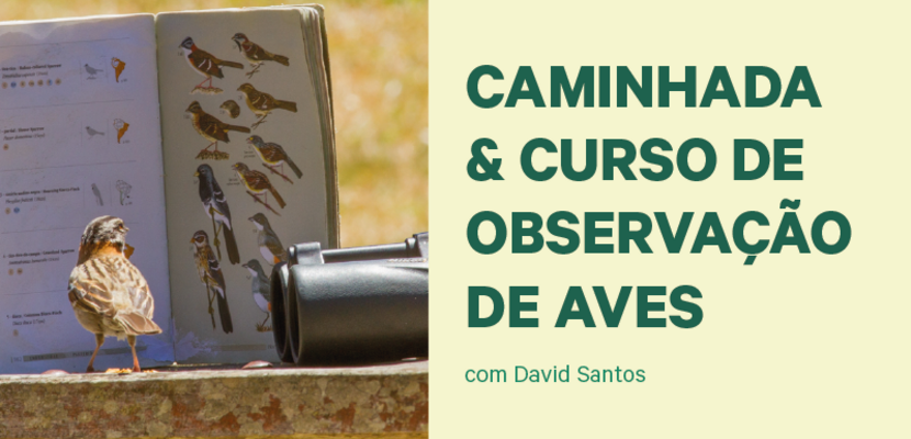 banner_site_ccoa_destaque