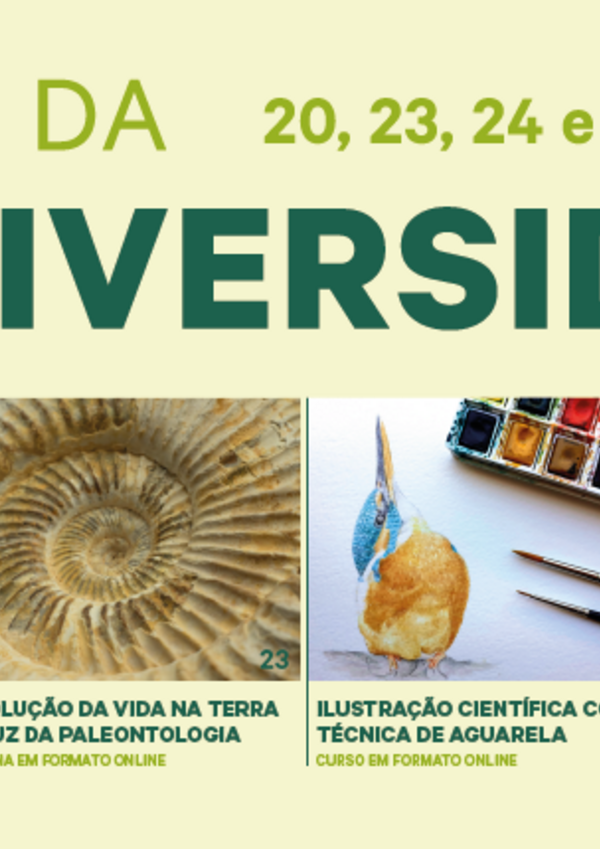 banner_site_ob_destaque