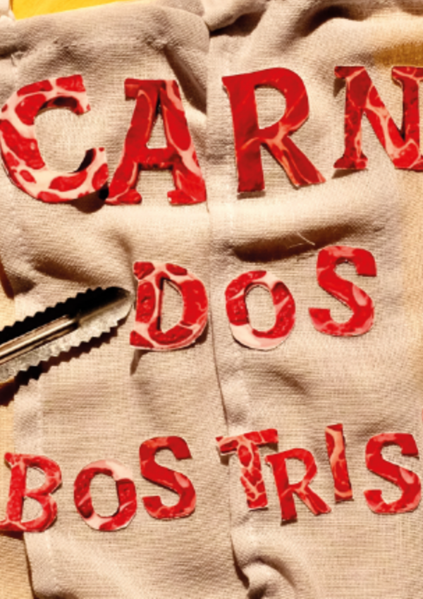 site_ledwall_tv_acrt_destaque