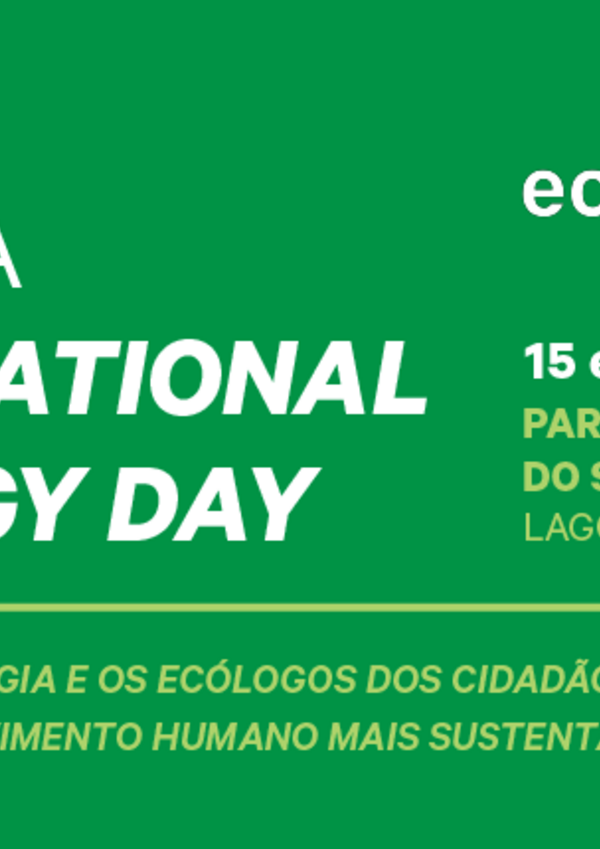 site_ledwall_tv_sied23_destaque