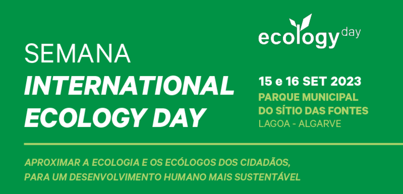 site_ledwall_tv_sied23_destaque