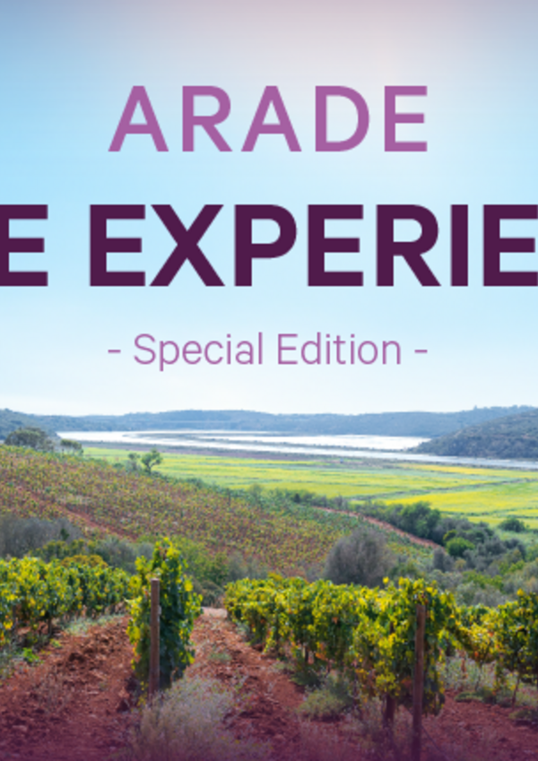 site_ledwall_tv_awe23_destaque