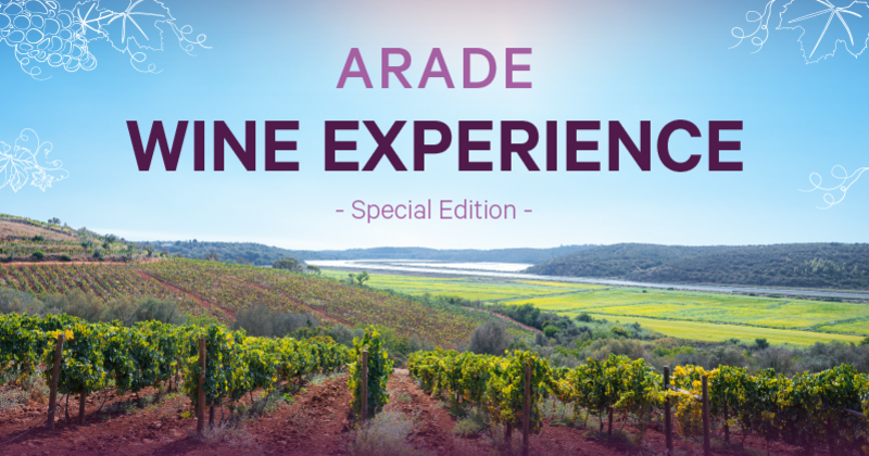 site_ledwall_tv_awe23_destaque