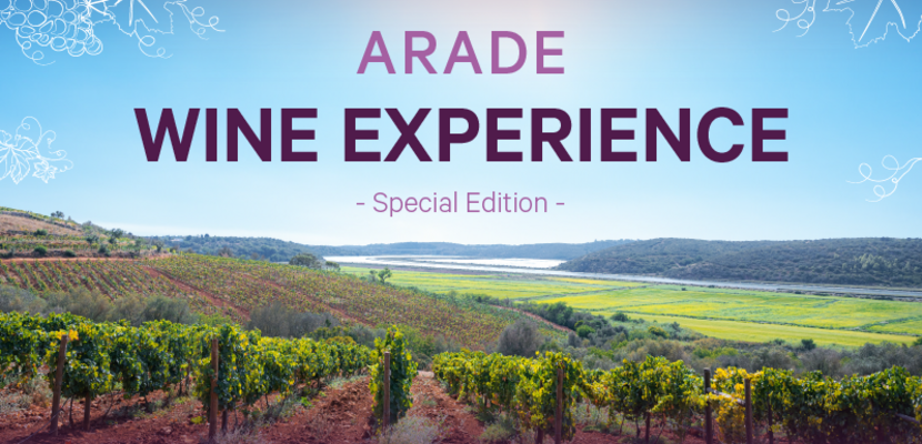 site_ledwall_tv_awe23_destaque