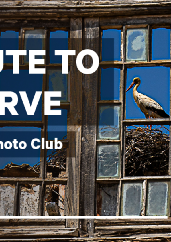 banner_site_led_tv_ef_ta_destaque