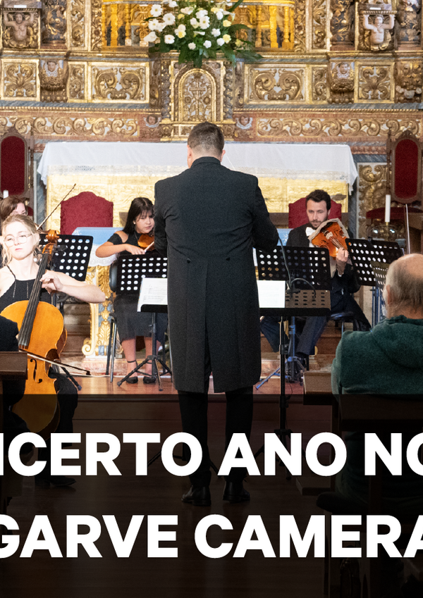 banner_site_led_tv_ac24_destaque