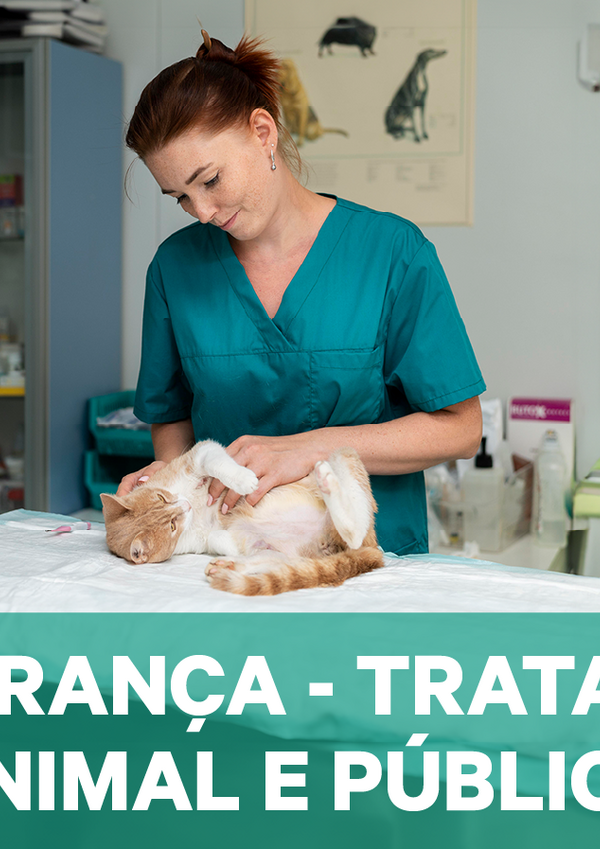 site_destaque_stap_800x430px