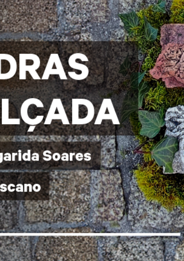 multimidia_e_apc_site_destaque_800x430px