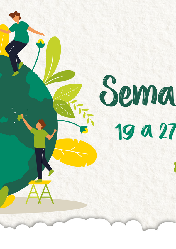 multimidia_sv24_site_destaque_800x430px