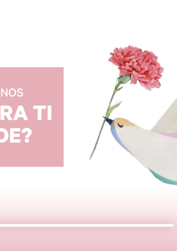 multimidia_eda_oql_site_destaque_800x430px