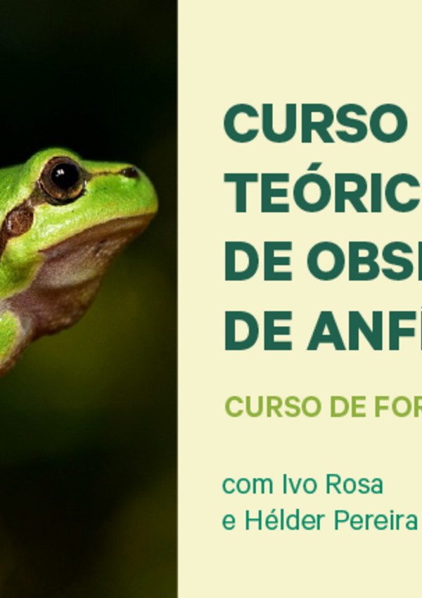 multimidia_ctp_oa_site_destaque_800x430px