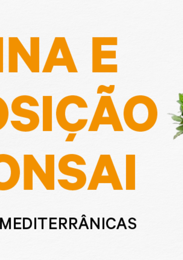 multimidia_oeb_em_site_destaque_800x430px