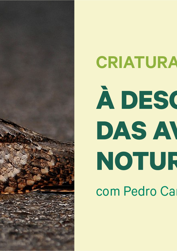 multimidia_cp_an24_site_destaque_800x430px