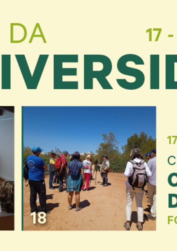 multimidia_sb24_site_destaque_800x430px_17_18