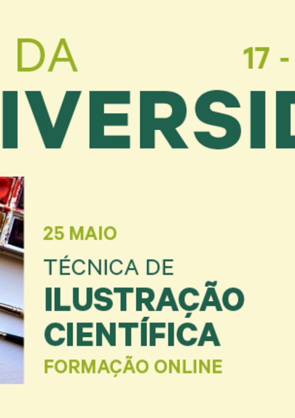 multimidia_sb24_site_destaque_800x430px_25