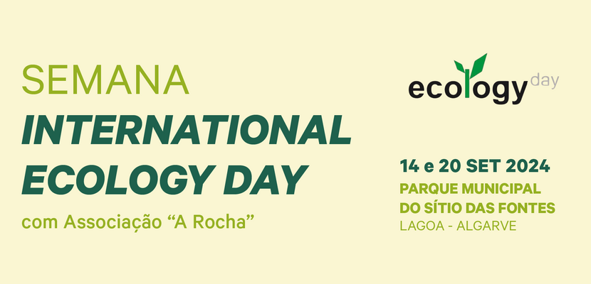 multimidia_sied24_site_destaque_800x430px