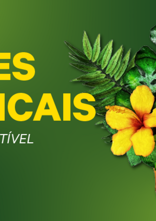 multimidia_o_ft_site_destaque_800x430px