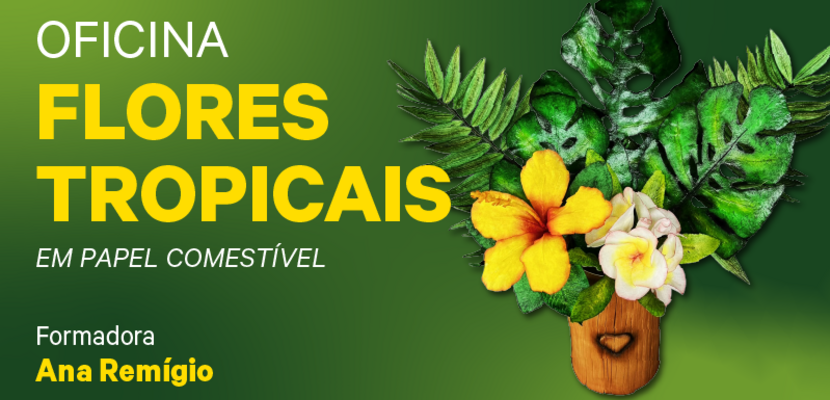 multimidia_o_ft_site_destaque_800x430px