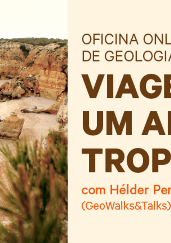 multimidia_oog_vat_site_destaque_800x430px