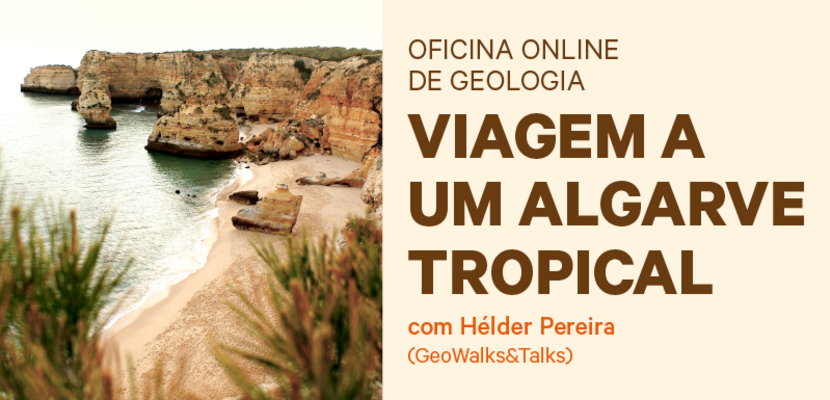 multimidia_oog_vat_site_destaque_800x430px