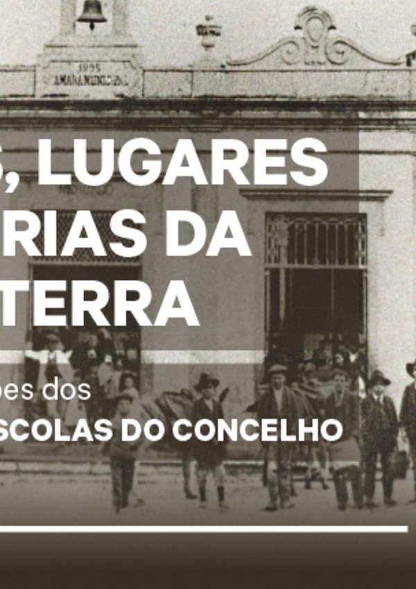 multimidia_e_glhnt_site_destaque_800x430px