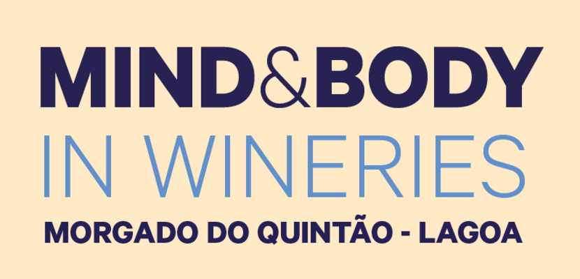 multimidia_mbw_site_destaque_800x430px