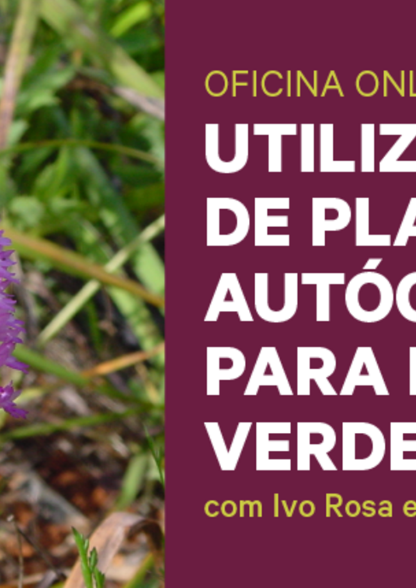 multimidia_o_upa_site_destaque_800x430px