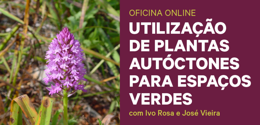 multimidia_o_upa_site_destaque_800x430px