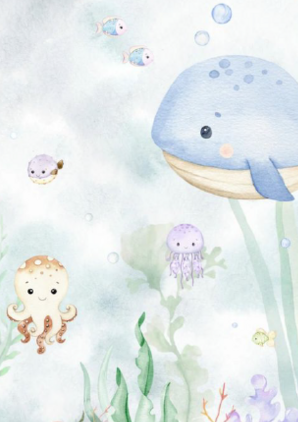 multimidia_dbpf_vfm_site_destaque_800x430px