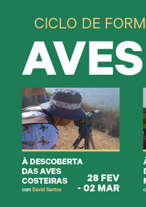 _dac_site_destaque_800x430px